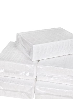 立得惠高级擦手纸商用酒店卫生间檫手纸厨房厕所抹手纸巾整箱