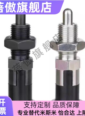 ZAY01/02/03/04-M10/M12/M16/M20分度销 细牙 ZAY03 04 13 14