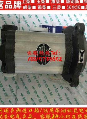 柴助力YA6130泵玉原厂C8A向泵 Y06C 转7发动机7配件