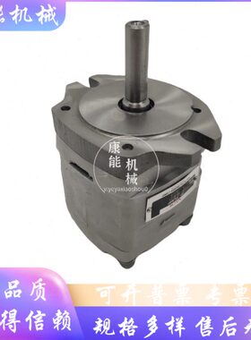 越HIPH-2-H52B二IP-511.6--IP11-11B齿轮泵- -内3.5-啮合2A不