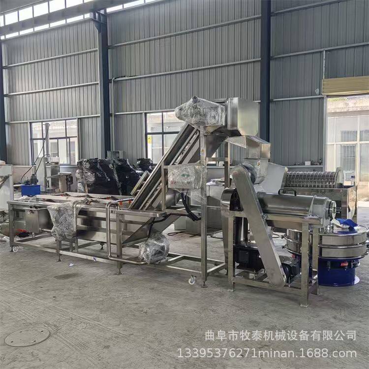 工业螺旋果汁机鲜榨核桃皮大型挤压榨汁机杨梅桑果汁液压榨机