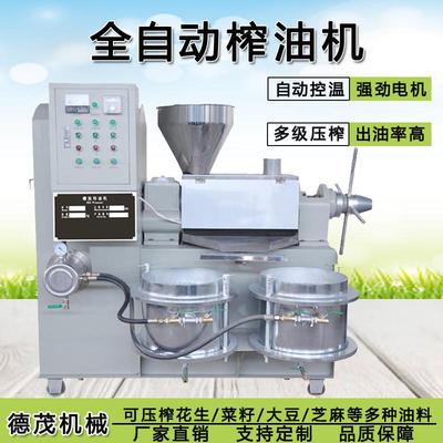 全自动榨油机家用小型花生菜籽榨油机价格商用食用油加工全套设备