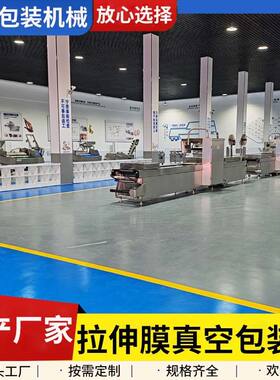 奶制品真空塑封机 酸奶球大型真空机 奶酪芝士块拉伸膜真空包装机