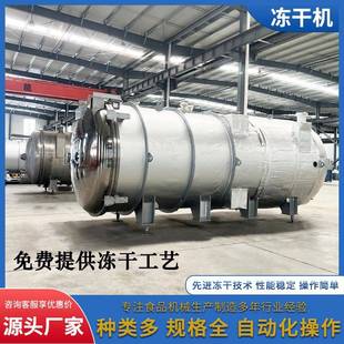 食品厂用冻干机果蔬脱水干燥机50平方真空冻干机器真空冷冻干燥机