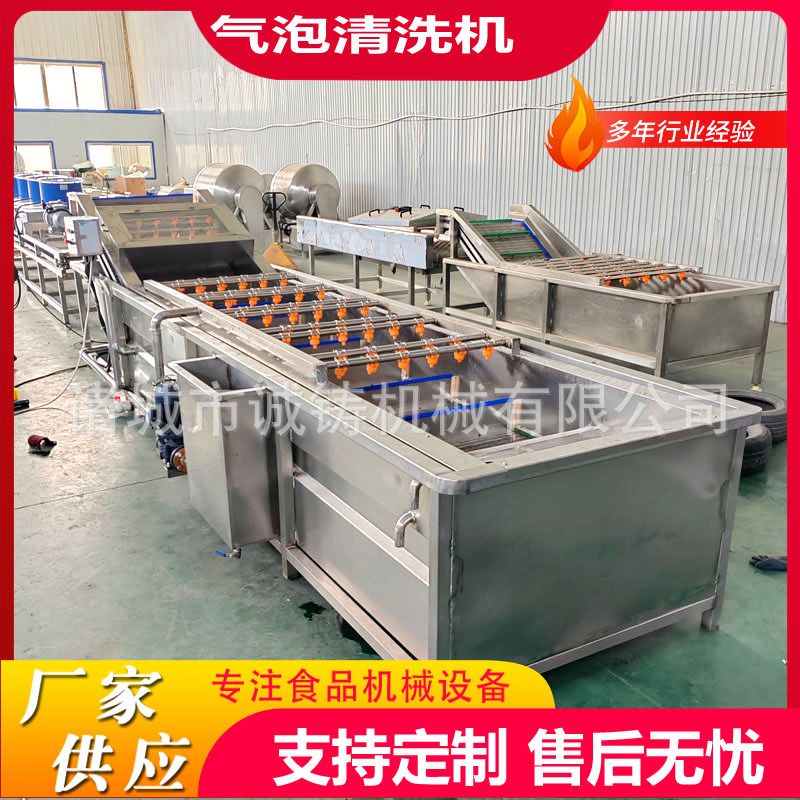 定制果蔬喷淋气泡清洗机芝麻菜气泡清洗机设备竹笋清洗风干流水线