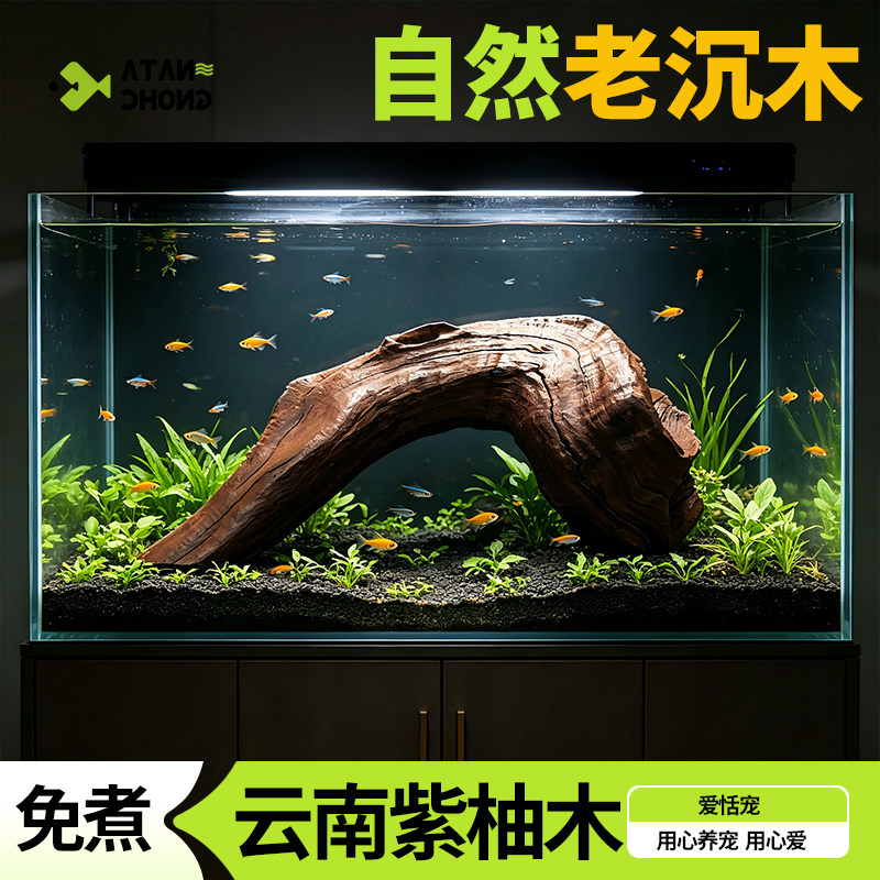 玄同沉木50cm以内秒紫柚木图片