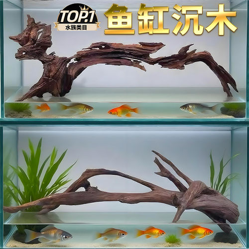 紫柚木精品4060cm天然鱼缸造景沉木大号树桩乌龟晒台水族箱装饰木