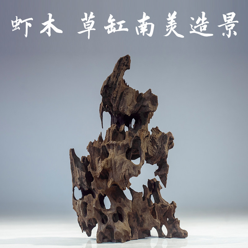 造景沉木鱼缸小型虾木草缸辣椒榕种植插花 蜂窝木水族箱枯木装饰