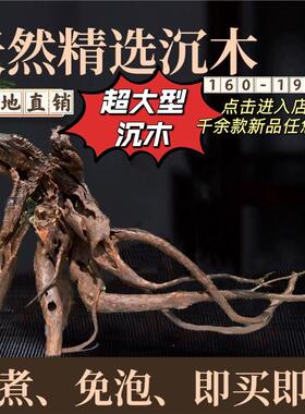 160cm-199cm水族造景沉木大号大型紫柚木龙虎缸拱桥南美多枝镂空