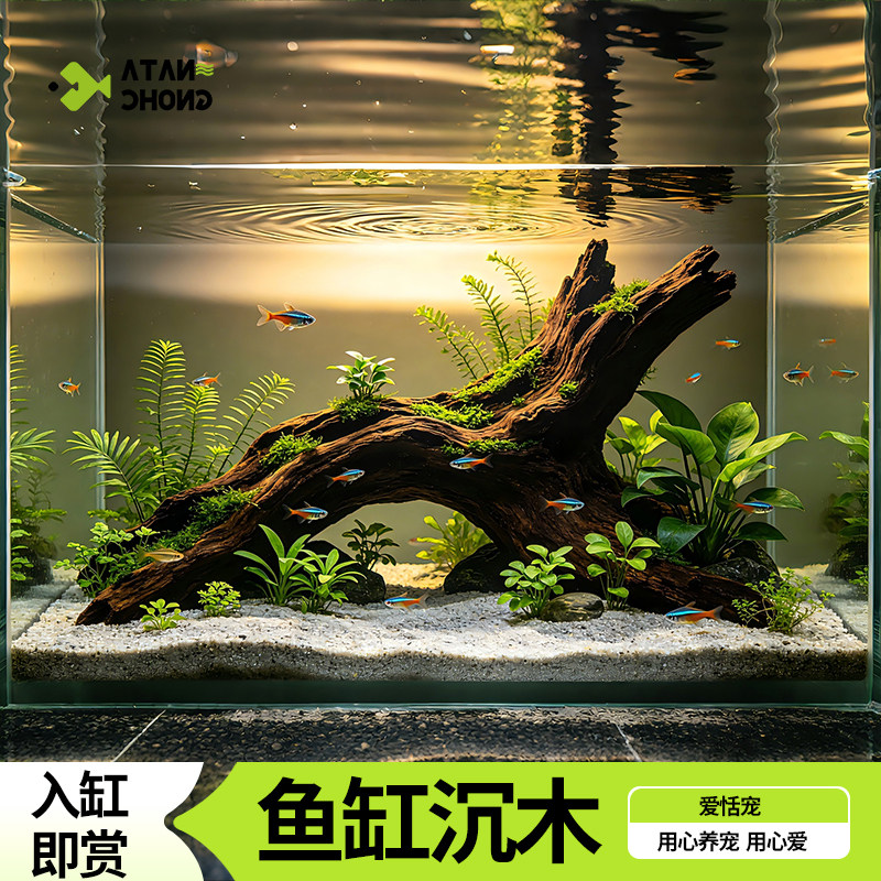 沉木杜鹃根紫柚木鱼缸造景图片