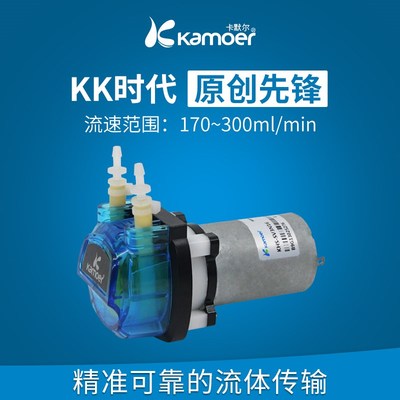 卡默尔蠕动泵12v有刷电动小型抽水泵 循环小泵迷你实验室微型水泵