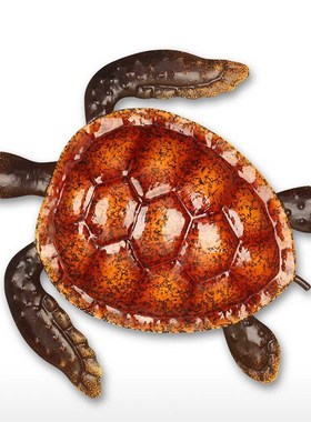 OO乌龟壁挂红色彩色蓝色 工艺品创意家居装饰庭院