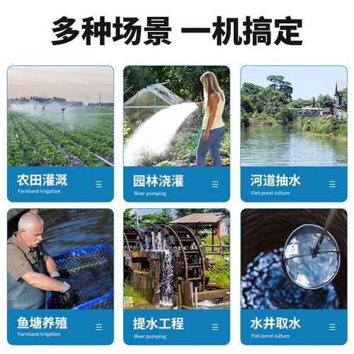 小型井水抽水泵农用灌溉扬程污水泵