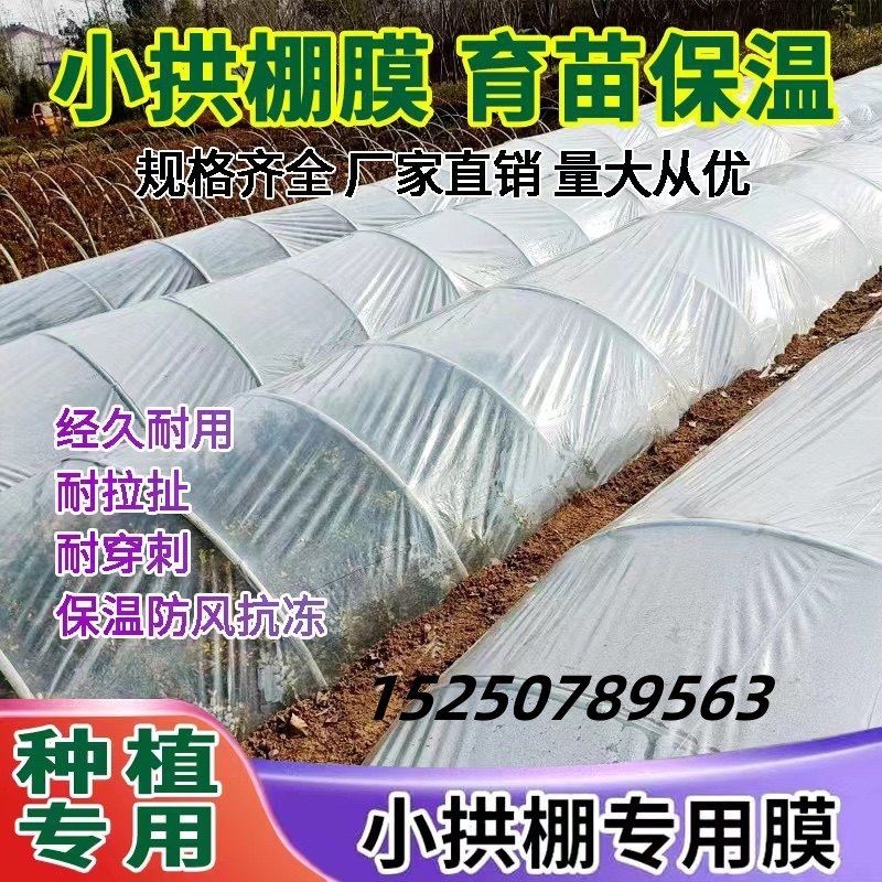农用弓棚膜小拱棚膜秧苗育苗膜加厚超厚塑料膜保温保湿
