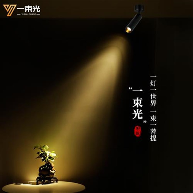 新款一束光聚光射灯小角度3度酒吧餐桌博物馆茶室氛围明装轨道led