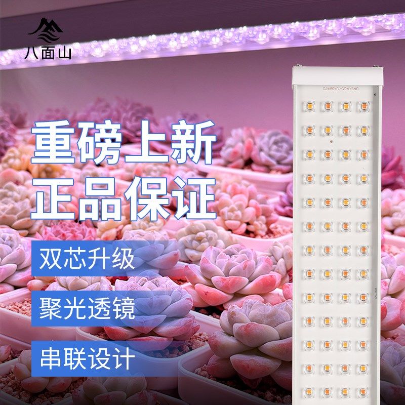 全光谱生长灯透镜款多肉补光灯上色防徒补光灯
