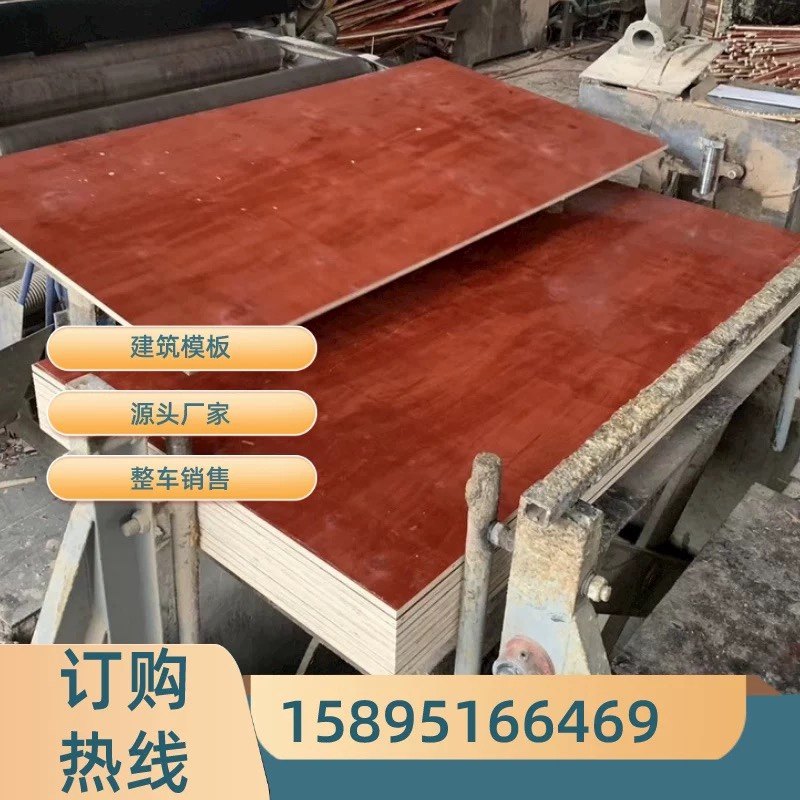 江苏建筑模板胶合板 工地用模板木工板整张 建筑竹胶板多层实木板图片