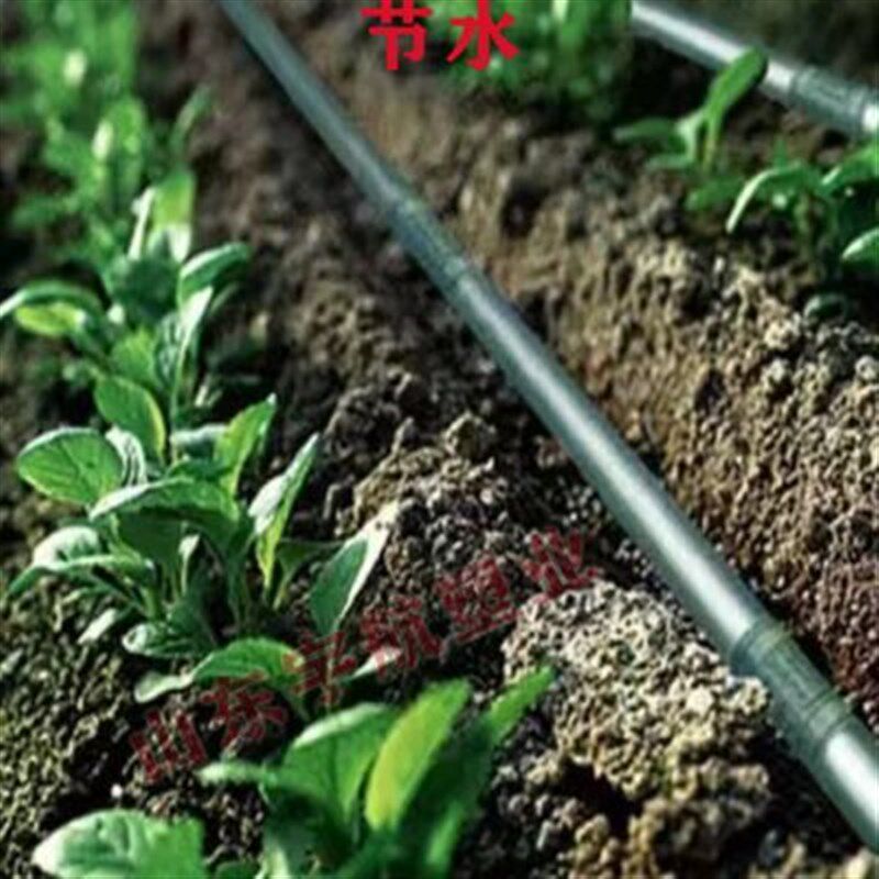 滴灌管內镶圆柱式水管抗老化滴灌设备毛管大棚农用果园微喷