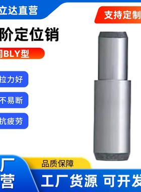 台阶定位销 BLY01 02 03 21 22 23-D5 6~13-L15~70标准一端内螺纹