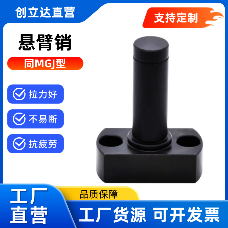 悬臂销 MGJ01 02 06 11 12 13-6 8 10 12~50-Y-F法兰型挡圈槽固定