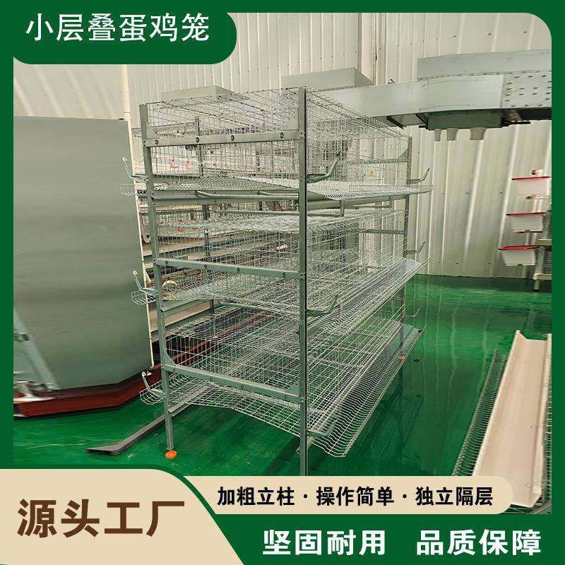 现货小层叠蛋鸡笼加密加粗全自动化养殖笼具热镀锌框架蛋鸡笼,畜牧/养殖物资,特种养殖设备,淘宝优惠券,粉丝福利购,淘宝优惠卷