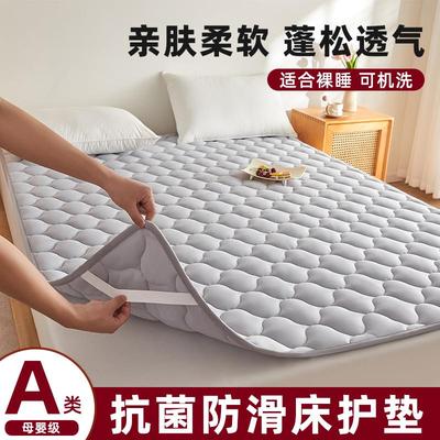 床垫软垫床褥垫褥子家用卧室租房专用单人薄款防滑不塌陷不变形