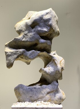 天然奇石太湖石原石摆件鱼缸造景假山景观石盆景附石观赏石灵璧石