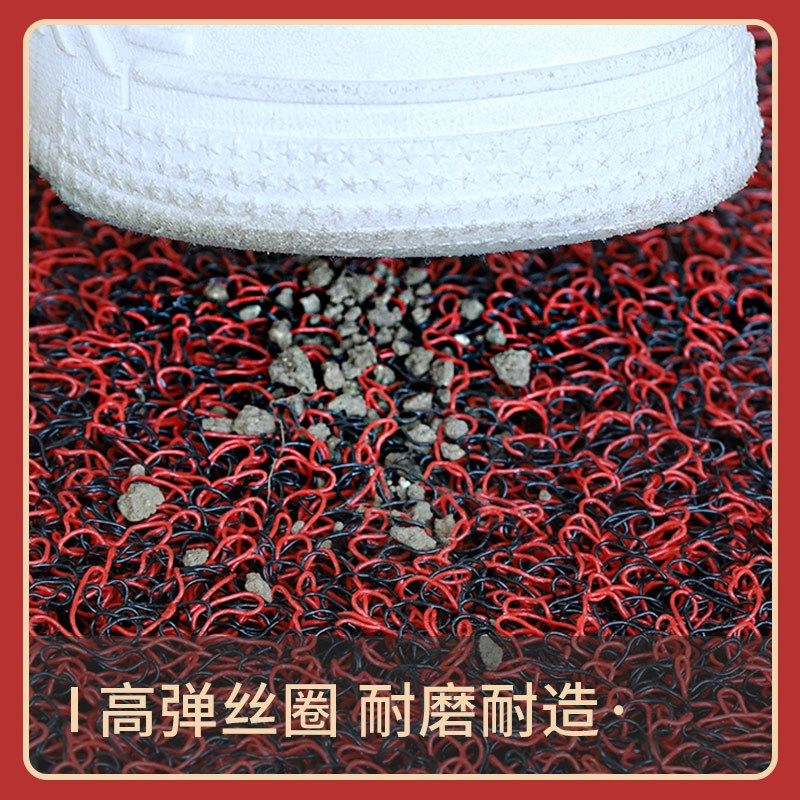 入户门地垫进门大门口出入平安门垫2025新款红色丝圈脚垫门外地毯,居家布艺,入户地垫,淘宝优惠券,粉丝福利购,淘宝优惠卷