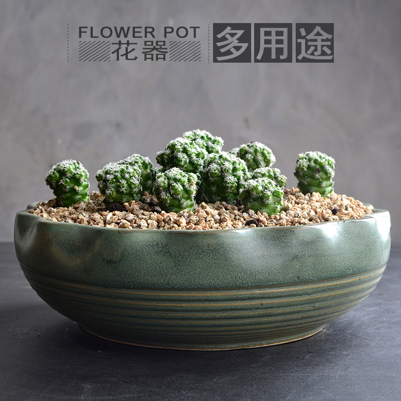 多肉花盆陶瓷大号水仙花盆无孔铜钱草养鱼缸室内水培植物花盆容器