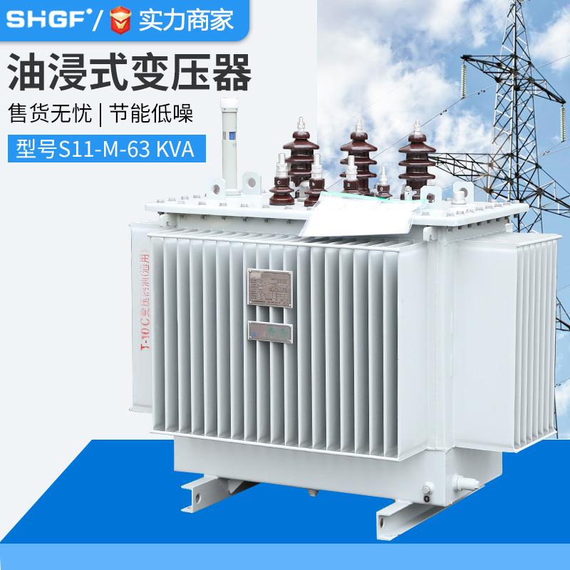 S11油浸式变压器高压三相S13-200-250-315-630KVA电力变压器10kv