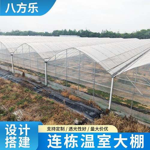 实体厂家智能农用连体棚镀锌钢管连体棚智能连栋薄膜温室大棚