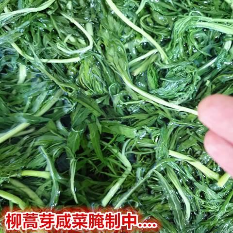 柳蒿芽咸菜东北特色柳蒿芽咸菜泡菜 拌菜咸菜营养美味下饭菜 包邮