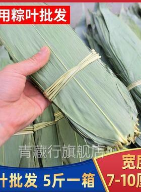 粽叶商用大号新鲜干粽叶5斤免邮肉粽手工箬叶端午芦苇叶粽子叶