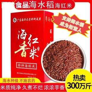 海红米香米海水稻大米盐碱地弱碱米袁老米富硒湛江特产糙米轻食