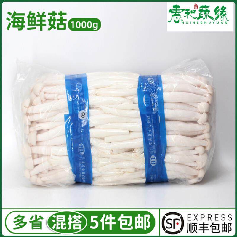 新鲜海鲜菇食用菌菇1000g