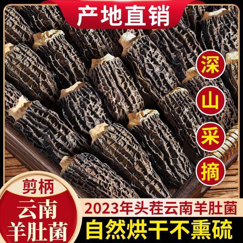羊肚菌干货500g云南特产野新鲜生羊肚菇山珍菌菇煲汤干货食材