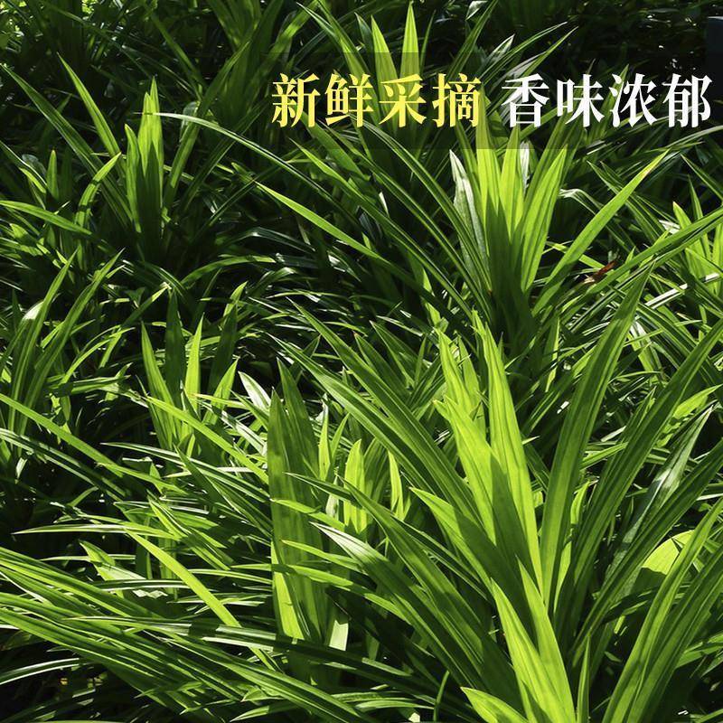 斑斓叶新鲜食用香兰叶千层蛋糕原料摆盘装饰烘焙奶茶商用班兰叶子