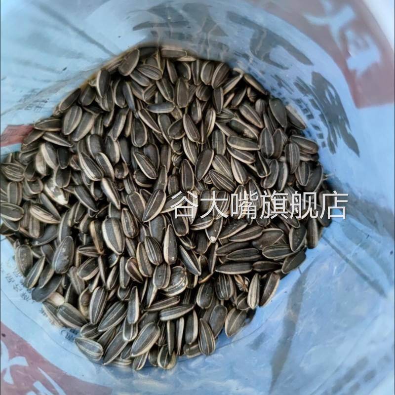 秋乡黑丁儿瓜子黑珍珠葵花籽奶油新货油葵现炒货原味袋装薄盐零食