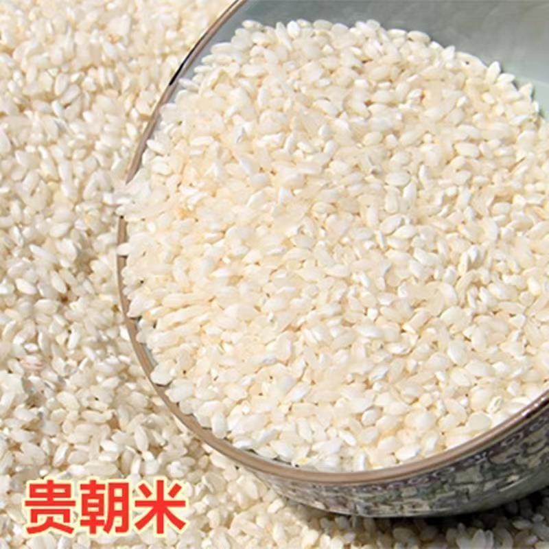 桂朝米凉糕肠河粉汉中米皮专用大米豆腐早贵州贵潮米商用珍桂