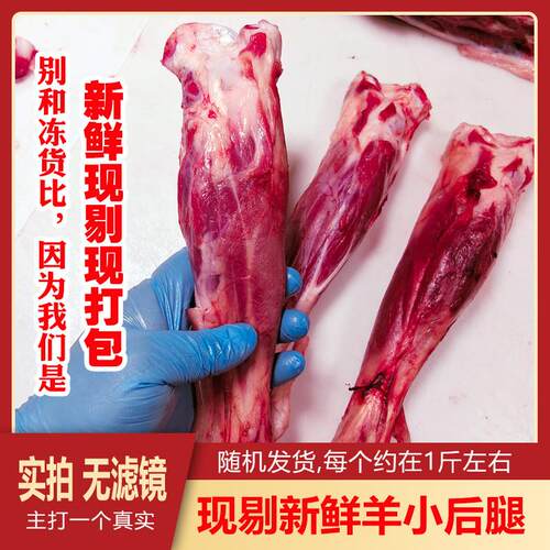 极速新鲜现剔小羊腿生羊腿
