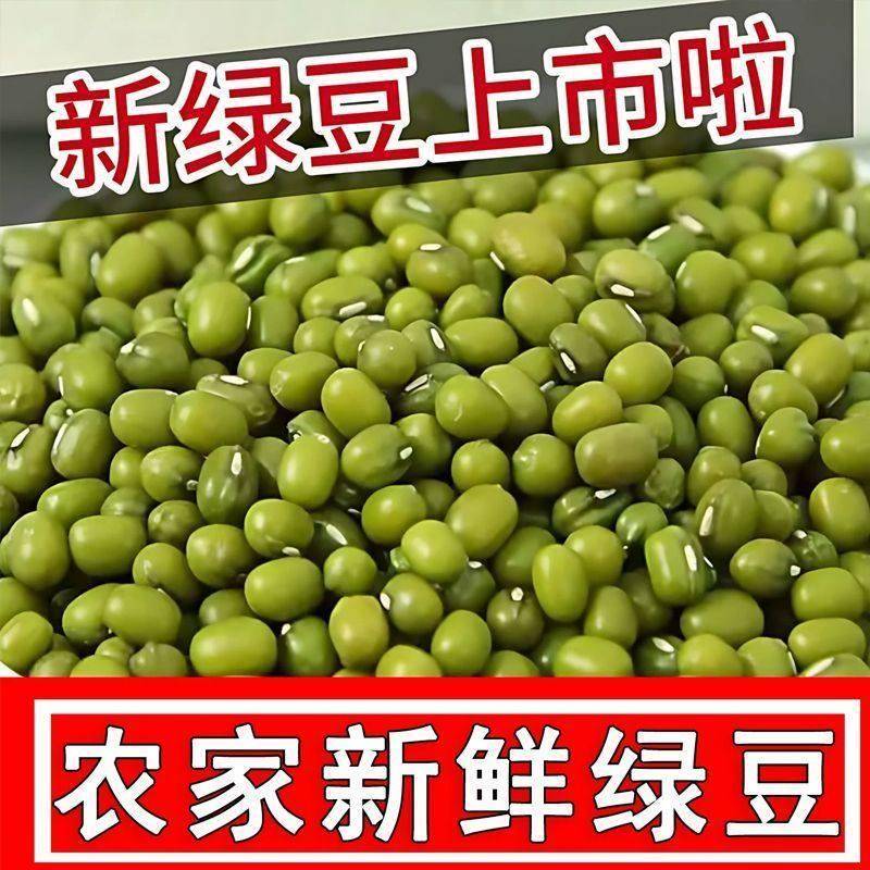【商超直供】25年绿豆新鲜发芽农家新货绿豆薄皮优质绿豆粥绿豆糕