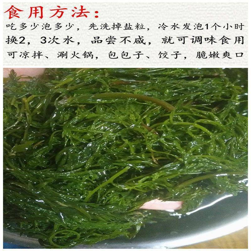 新鲜盐渍马尾藻龙须菜鞭炮竹羊栖菜碱性海藻长寿菜火锅食材超嫩