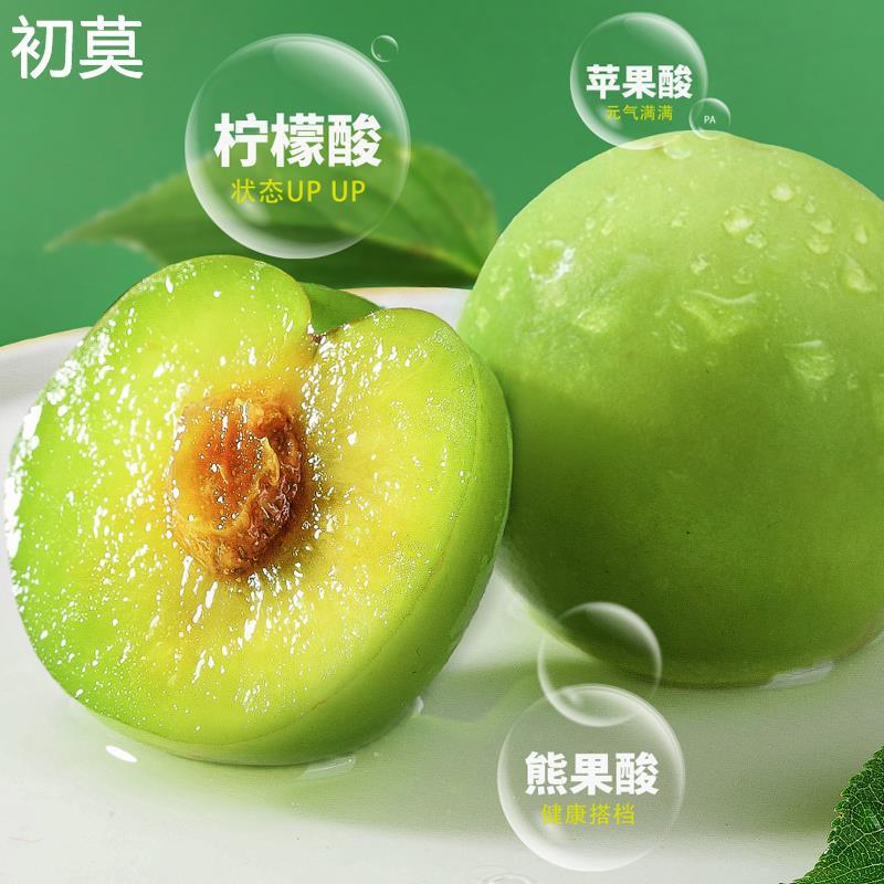 伊达清脆青梅梅子话梅酸梅蜜饯果干办公室小零食爽脆新鲜酸爽128g