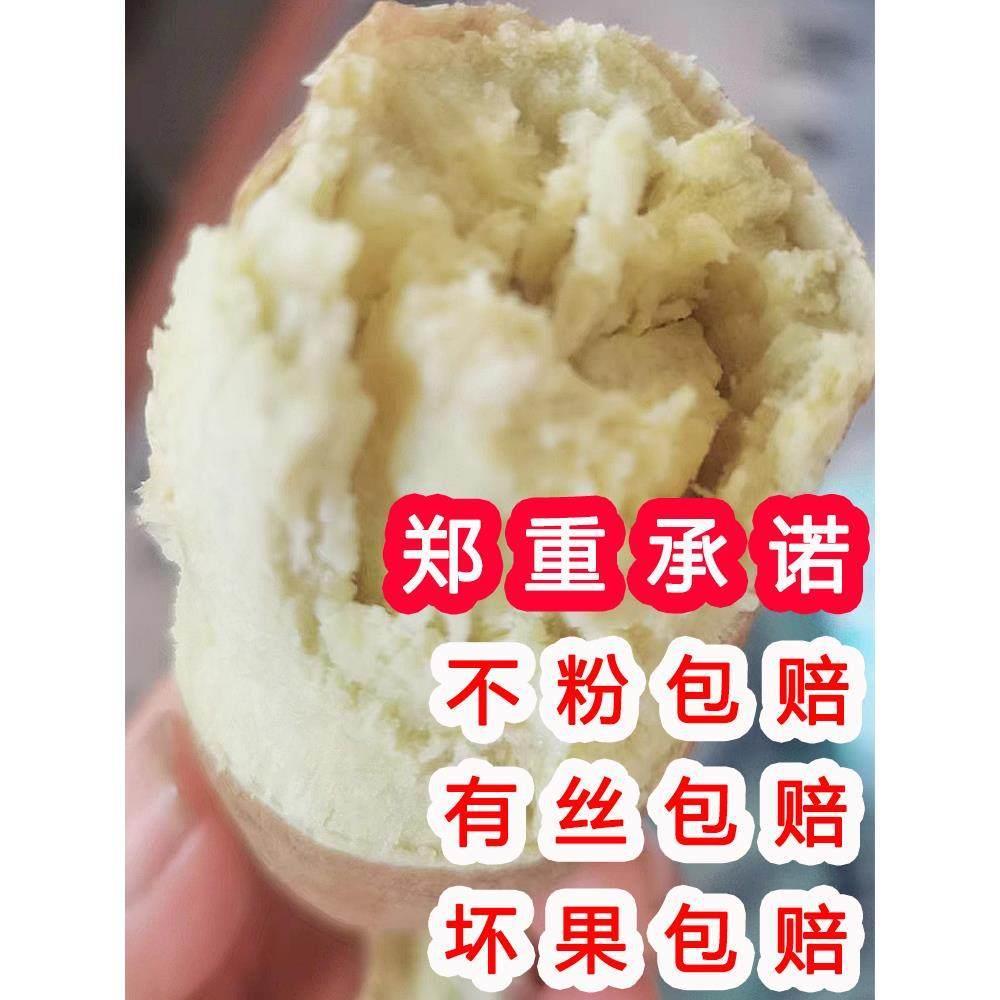 高州爆皮王番薯新鲜农家自种板栗薯粉糯地瓜沙地板栗白薯白心红薯