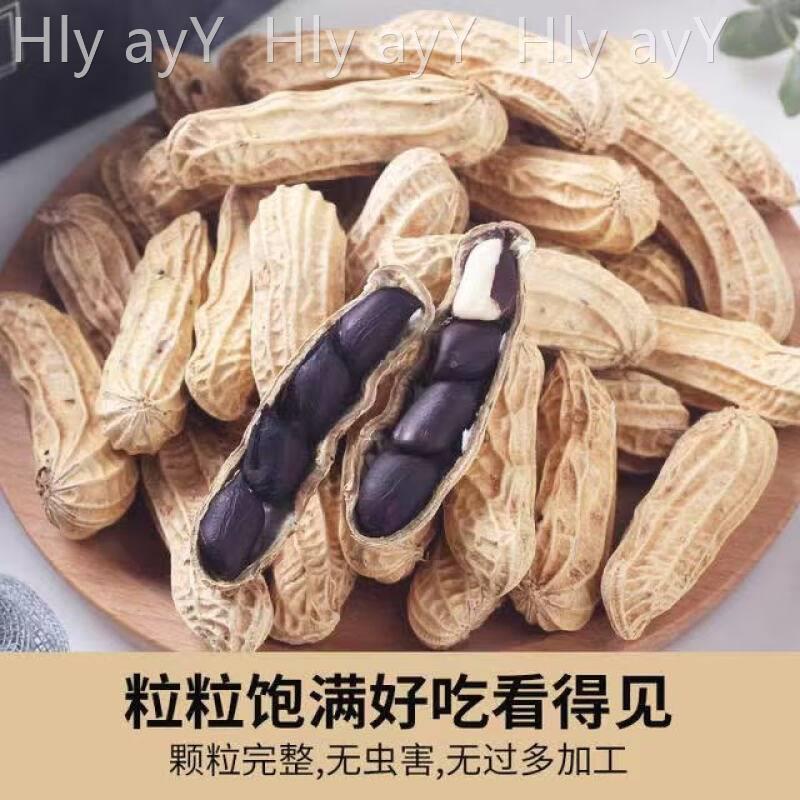 富硒黑花生500g原味带壳小粒黑花生种籽子云南新鲜晒干黑皮花生