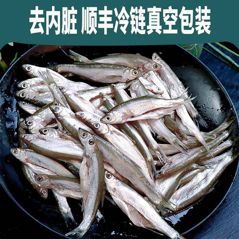 新品小白条河鲜刁子鱼餐条子白条翘嘴川条小河鱼淡水鱼类杂鱼商用