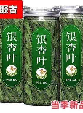银杏叶特级中老年银杏叶新鲜正宗肠油叶子罐装正品银杏茶散装