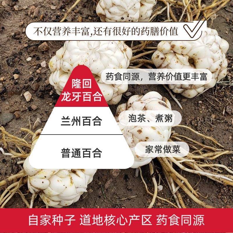 湖南有客瑶来百合米粉干米粉炒米粉500g*1盒龙牙百合方便速食米粉