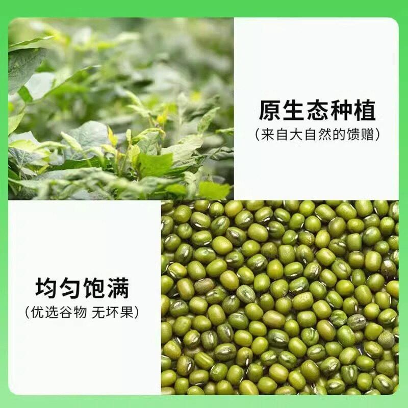 新品绿豆沙冰沙饮料300ml即食饮品绿豆汁夏天绿豆汤商用整箱8杯
