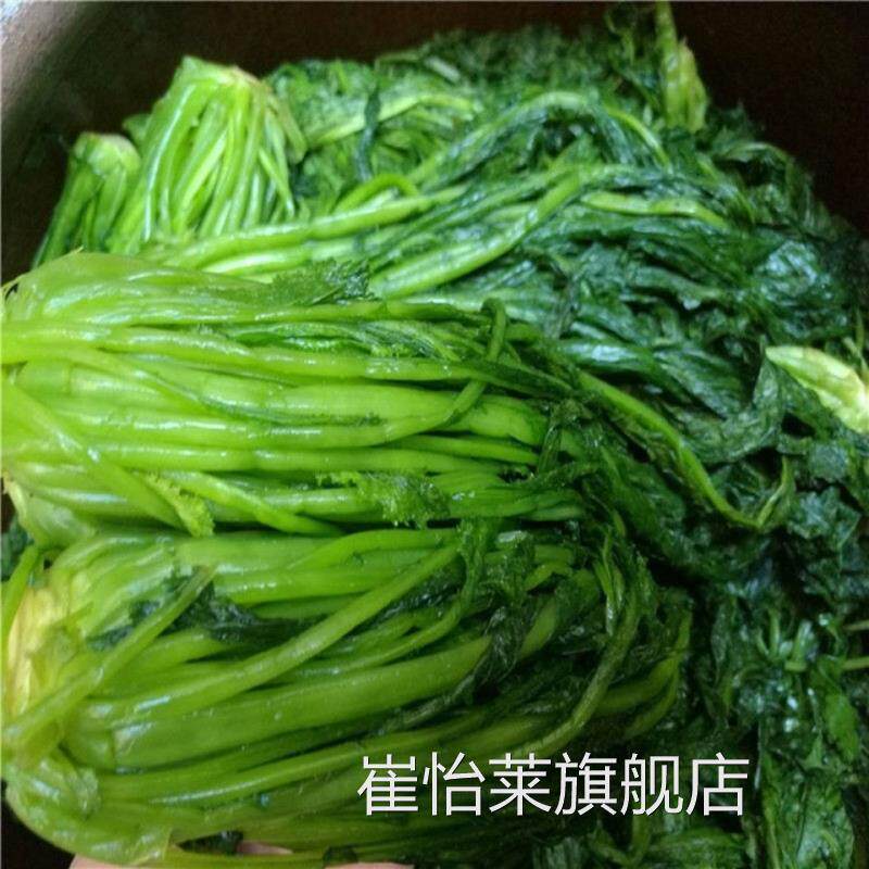 苏北新鲜雪里红咸菜腌菜
